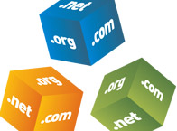 Domain Names and Transfers